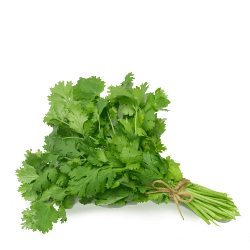 Fresh Coriander Leaves 100gm